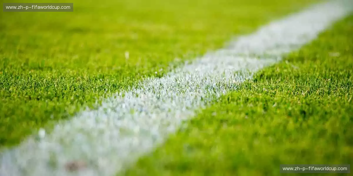 从训练场到直播间,你的热爱全程在线!📱